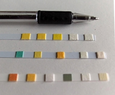 Test Strips