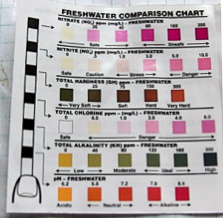 Reference Chart